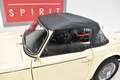 Triumph TRIUMPH  TR250 Beige - thumbnail 27