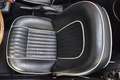 Triumph TRIUMPH  TR250 Beige - thumbnail 37