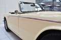 Triumph TRIUMPH  TR250 Beige - thumbnail 22