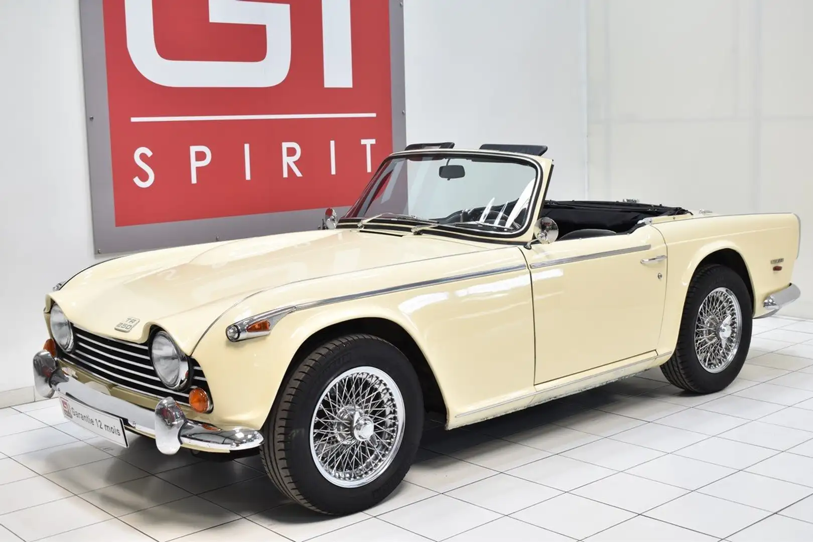 Triumph TRIUMPH  TR250 Bej - 1