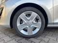 Ford Fiesta 1.0 l EcoBoost Cool & Connect NAVI/DAB FAHRASSISTE Argintiu - thumbnail 9