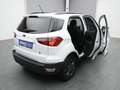 Ford EcoSport Cool&Connect 100PS/Winter-P./Navi/PDC Wit - thumbnail 41