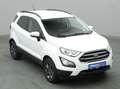 Ford EcoSport Cool&Connect 100PS/Winter-P./Navi/PDC Weiß - thumbnail 25