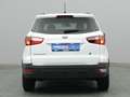 Ford EcoSport Cool&Connect 100PS/Winter-P./Navi/PDC Wit - thumbnail 7