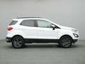 Ford EcoSport Cool&Connect 100PS/Winter-P./Navi/PDC Wit - thumbnail 8
