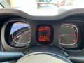 Fiat Panda 1.0 FireFly S&S Hybrid City Life promo ! Grigio - thumbnail 15