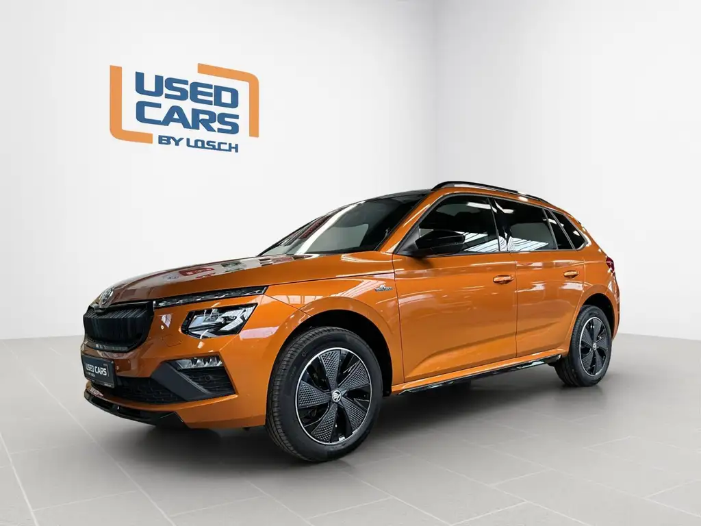 Skoda Kamiq 2025 из Европы — купить под ключ