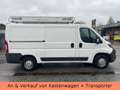 Peugeot Boxer Kasten 330 L2H1 Komfort HDi 110 - 1.HAND Alb - thumbnail 5