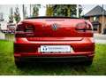 Volkswagen Golf Cabriolet Cabrio Rot - thumbnail 29