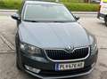 Skoda Octavia Octavia 1,6 Active TDI Green tec Active Grau - thumbnail 6