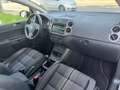 Volkswagen Golf Plus TSI Match  Motor 1,2 Ltr Brun - thumbnail 15
