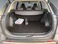 Toyota RAV 4 RAV4 Active Drive 2,5, 222 PS 4x4 Hybrid Grau - thumbnail 19
