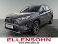 Toyota RAV 4 RAV4 Active Drive 2,5, 222 PS 4x4 Hybrid Grau - thumbnail 1