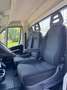Fiat Ducato 35 2.2 Mjt 140CV Cabinato CASSONE FISSO Wit - thumbnail 14