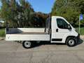 Fiat Ducato 35 2.2 Mjt 140CV Cabinato CASSONE FISSO Wit - thumbnail 6