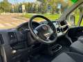 Fiat Ducato 35 2.2 Mjt 140CV Cabinato CASSONE FISSO Wit - thumbnail 11