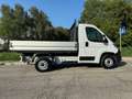 Fiat Ducato 35 2.2 Mjt 140CV Cabinato CASSONE FISSO Wit - thumbnail 1
