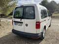 Volkswagen Caddy 2.0TDI Kombi Business 55kW Blanco - thumbnail 10