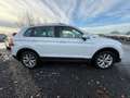 Volkswagen Tiguan Tiguan 2.0 TSI 4Motion Highline Wit - thumbnail 6