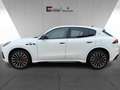 Maserati Grecale Trofeo MY25 530PS V6-PANO-5J. Garantie Weiß - thumbnail 2