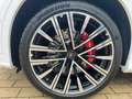 Maserati Grecale Trofeo MY25 530PS V6-PANO-5J. Garantie Weiß - thumbnail 7