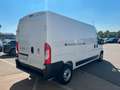 Fiat Ducato Kastenwagen  L4 H2, Tempomat, Serie 9 White - thumbnail 5