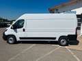 Fiat Ducato Kastenwagen  L4 H2, Tempomat, Serie 9 White - thumbnail 2