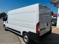 Fiat Ducato Kastenwagen  L4 H2, Tempomat, Serie 9 White - thumbnail 3