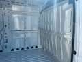 Fiat Ducato Kastenwagen  L4 H2, Tempomat, Serie 9 White - thumbnail 9