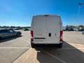 Fiat Ducato Kastenwagen  L4 H2, Tempomat, Serie 9 White - thumbnail 4