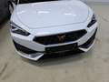 CUPRA Leon 1.4 e-Hybrid DSG PDC*Tempo*Klima*NAV*SH Bianco - thumbnail 24