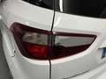 Ford EcoSport 1.0 EcoBoost ST Line 125 Bianco - thumbnail 11
