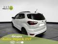 Ford EcoSport 1.0 EcoBoost ST Line 125 Bianco - thumbnail 5