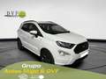 Ford EcoSport 1.0 EcoBoost ST Line 125 Bianco - thumbnail 1
