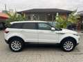 Land Rover Range Rover Evoque 5p 2.0 td4 Pure 150cv auto Bianco - thumbnail 7