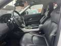 Land Rover Range Rover Evoque 5p 2.0 td4 Pure 150cv auto Bianco - thumbnail 12