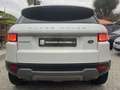Land Rover Range Rover Evoque 5p 2.0 td4 Pure 150cv auto Weiß - thumbnail 5