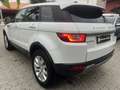 Land Rover Range Rover Evoque 5p 2.0 td4 Pure 150cv auto Bianco - thumbnail 4