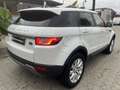 Land Rover Range Rover Evoque 5p 2.0 td4 Pure 150cv auto Bianco - thumbnail 3
