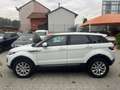 Land Rover Range Rover Evoque 5p 2.0 td4 Pure 150cv auto Bianco - thumbnail 6