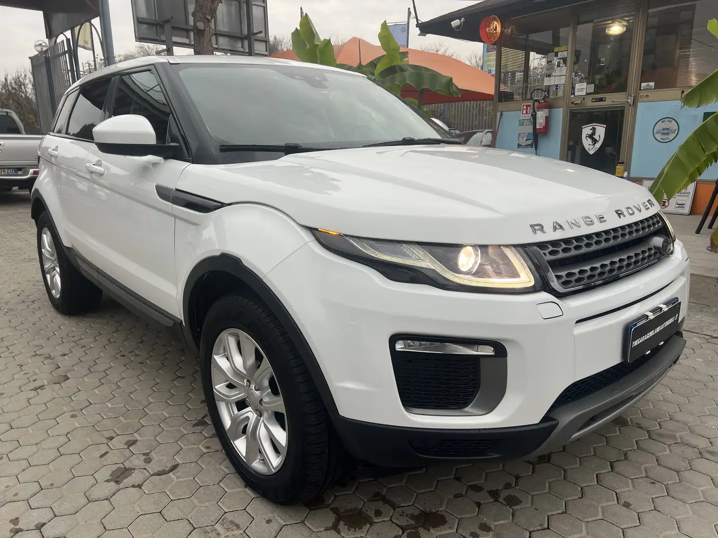 Land Rover Range Rover Evoque 5p 2.0 td4 Pure 150cv auto Weiß - 2