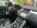 Land Rover Range Rover Evoque 5p 2.0 td4 Pure 150cv auto Bianco - thumbnail 8