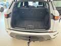 Land Rover Range Rover Evoque D165 R-Dynamic S AHK WKP ACC Weiß - thumbnail 19