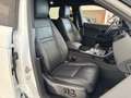 Land Rover Range Rover Evoque D165 R-Dynamic S AHK WKP ACC Weiß - thumbnail 13