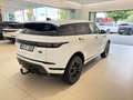 Land Rover Range Rover Evoque D165 R-Dynamic S AHK WKP ACC Weiß - thumbnail 6