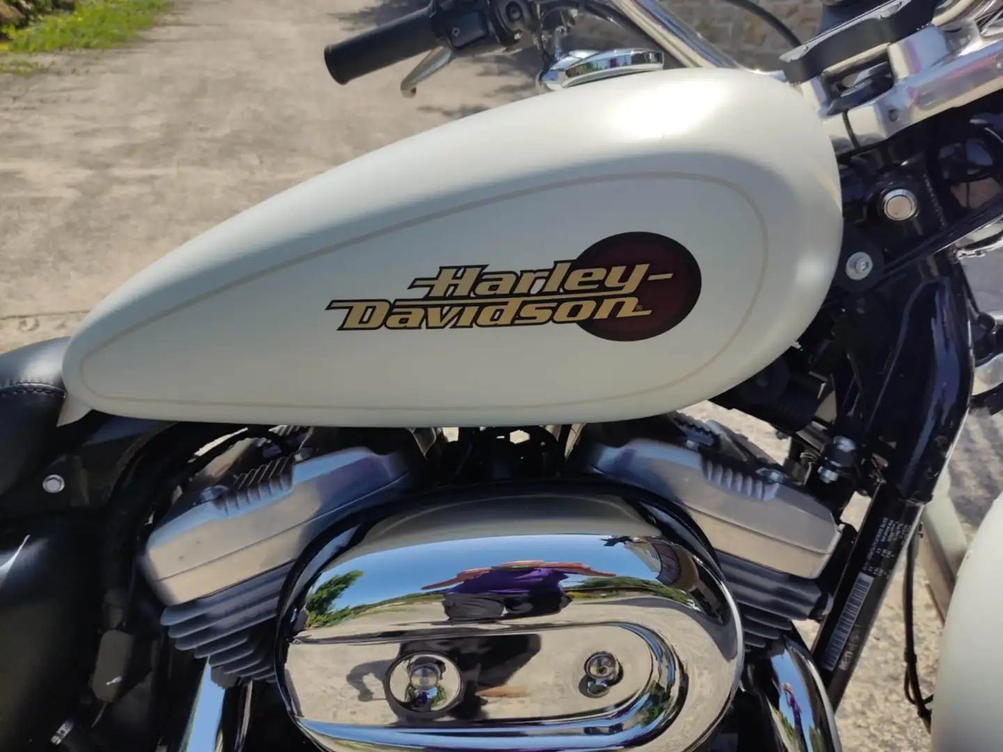 Harley-Davidson Sportster 883 superlow Bílá - 1