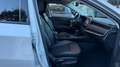 Jeep Compass 1.3 T4 190CV PHEV AT6 4xe LIMITED MY 22 *24M.G.* Silber - thumbnail 18