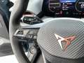 CUPRA Raval ENDURANCE 52/55 155kW/210 PS Blau - thumbnail 16
