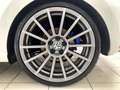 Volkswagen Polo V 2.0 TSI 220 R WRC 3p Blanc - thumbnail 20