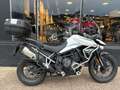 Triumph Tiger 900 - thumbnail 1